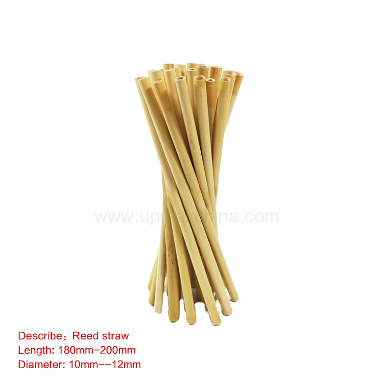 Reed straw-003